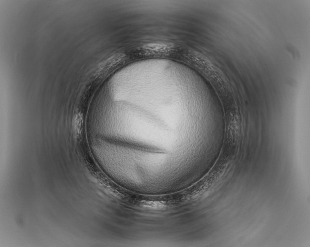 X0000111840649200908061254