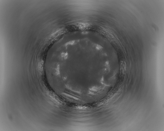 X0000111840650200908061254