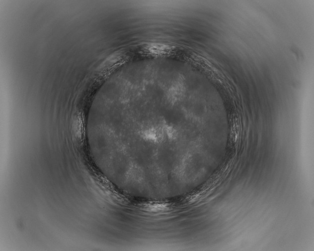 X0000111840651200908061254