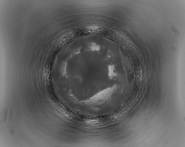 X0000111840653200908061254