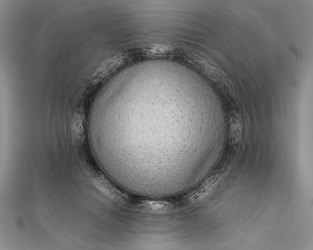 X0000111840654200908061254