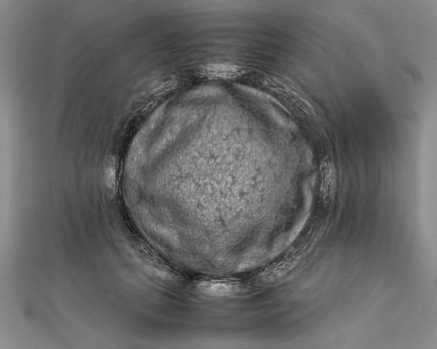 X0000111840655200908061254