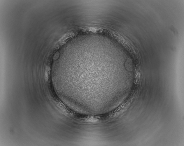 X0000111840656200908061254