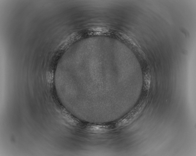 X0000111840657200908061254