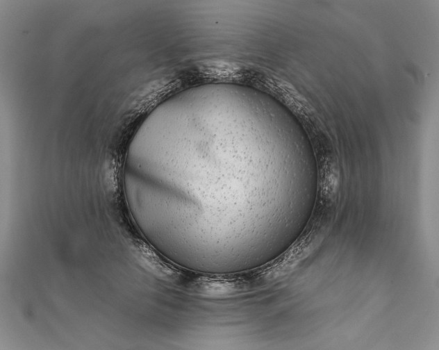 X0000111840658200908061254