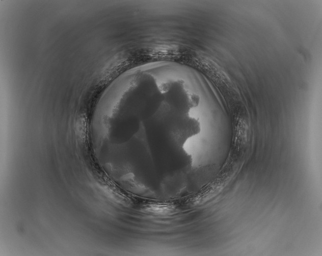 X0000111840659200908061254