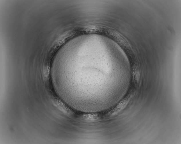 X0000111840660200908061254