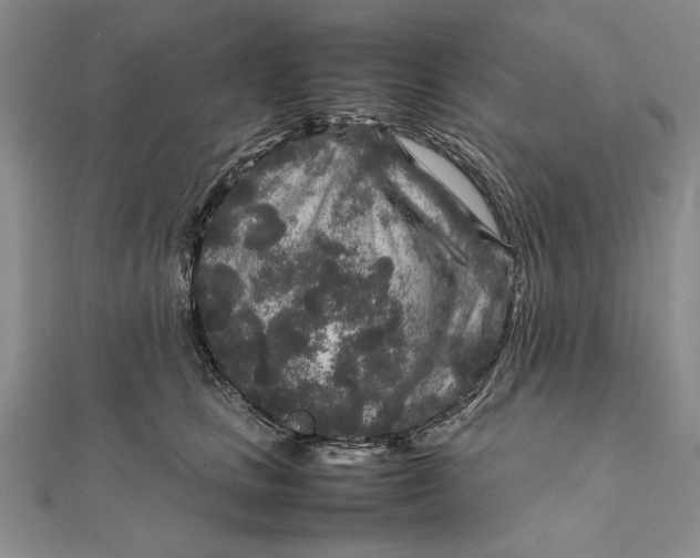 X0000111840661200908061254