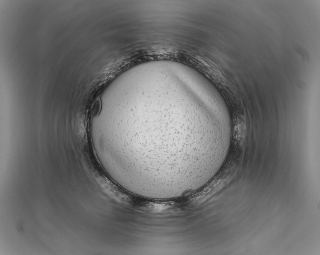 X0000111840662200908061254