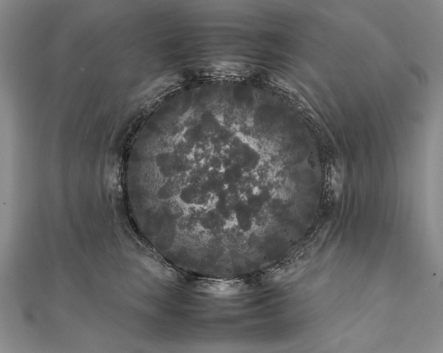 X0000111840663200908061254