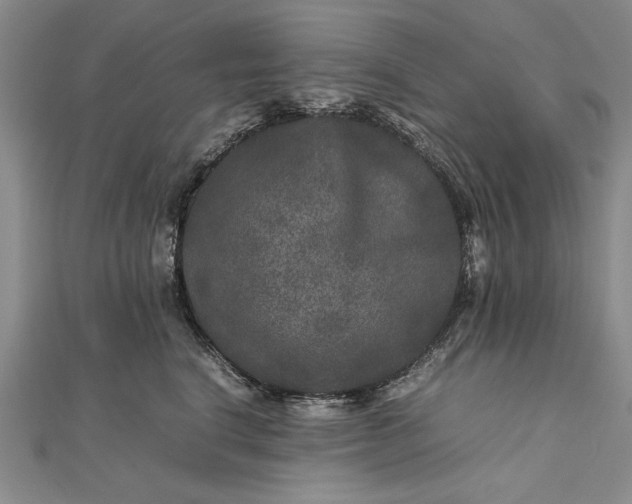 X0000111840664200908061254