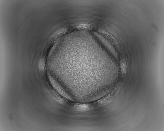 X0000111840665200908061254