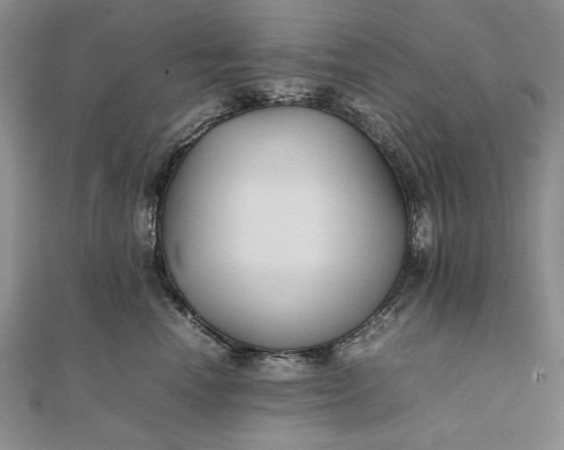 X0000111840666200908061254