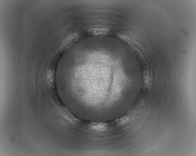 X0000111840667200908061254