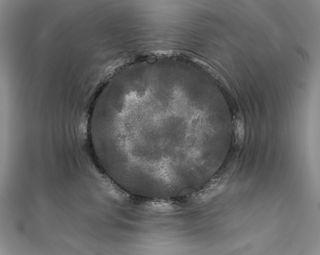 X0000111840668200908061254