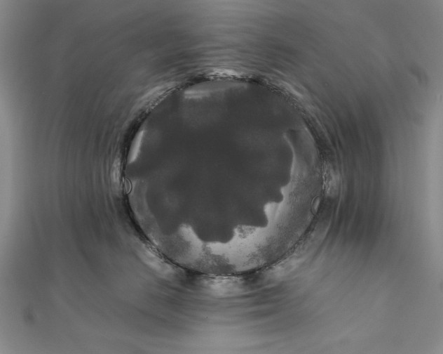 X0000111840670200908061254