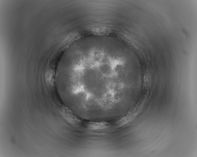 X0000111840671200908061254