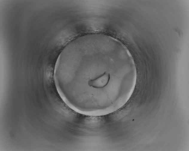 X0000111840672200908061255