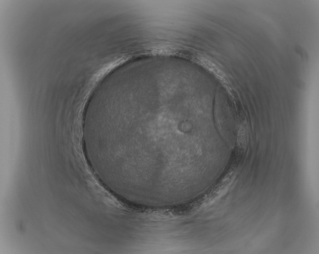 X0000111840673200908061254