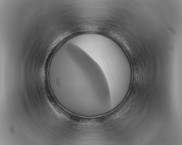 X0000111840674200908061254