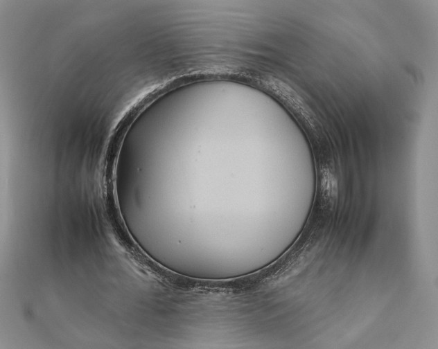 X0000111840676200908061254