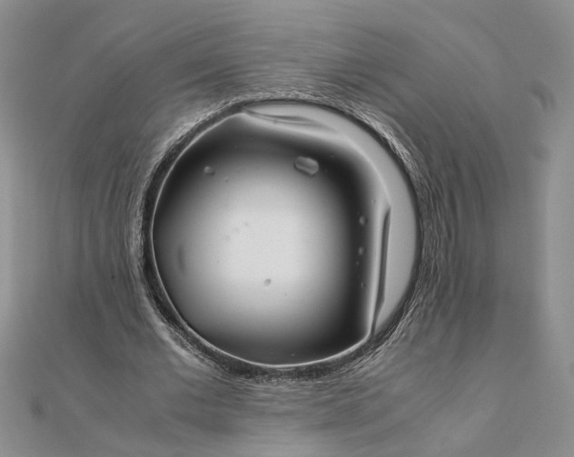 X0000111840677200908061254