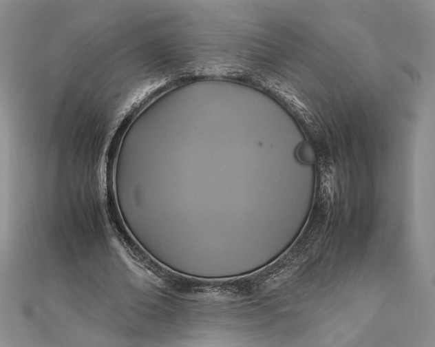 X0000111840678200908061254