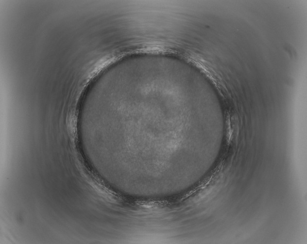 X0000111840679200908061254