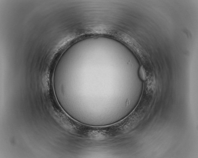 X0000111840680200908061254