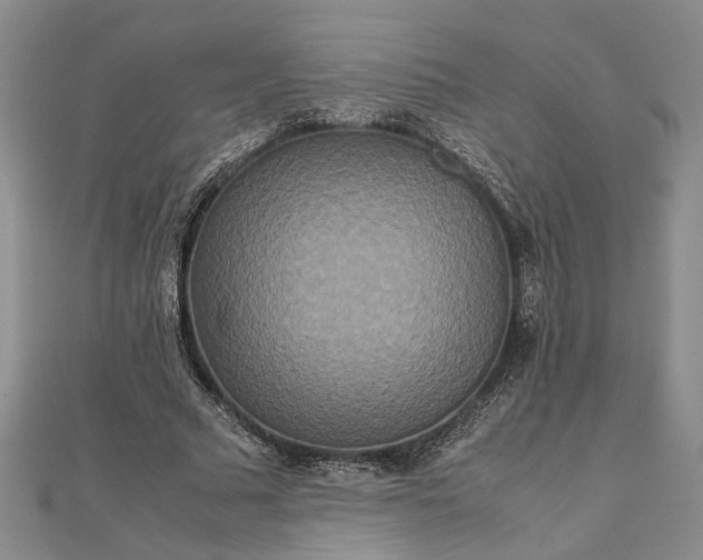 X0000111840681200908061254