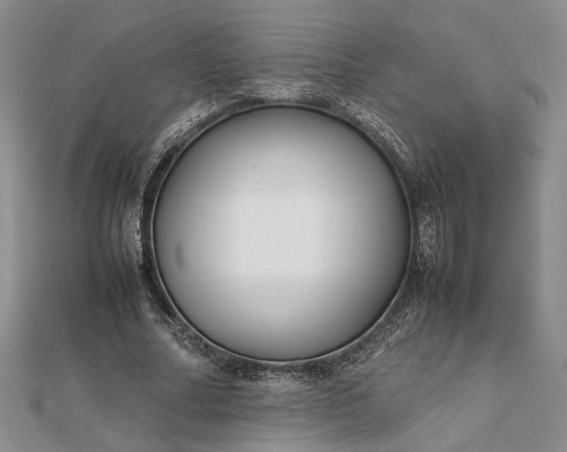 X0000111840682200908061254