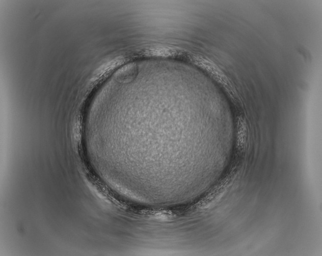 X0000111840683200908061254