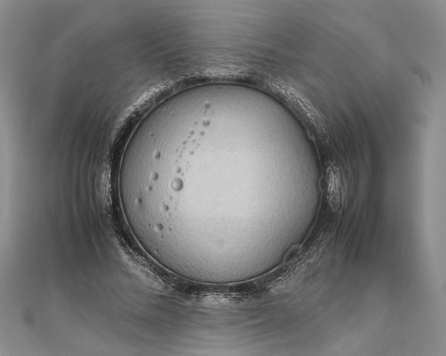 X0000111840684200908061254