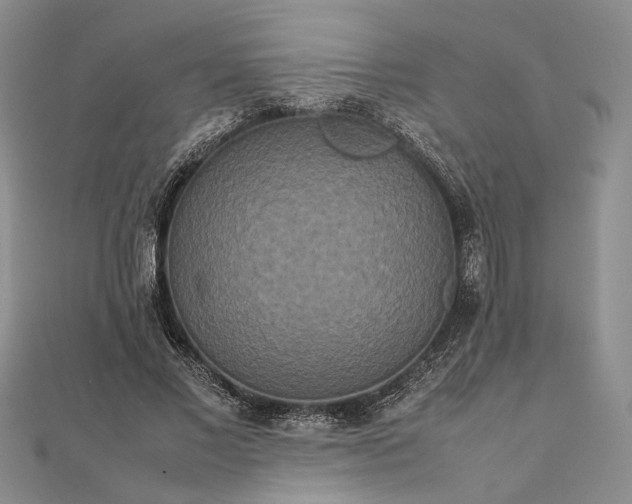 X0000111840685200908061254