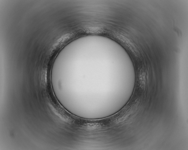 X0000111840686200908061254