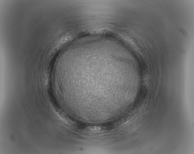 X0000111840687200908061254