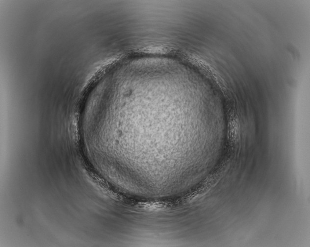 X0000111840688200908061254