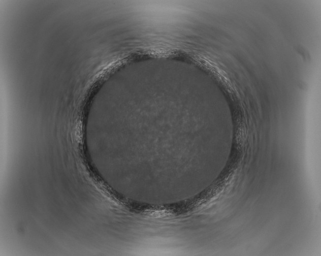 X0000111840689200908061254