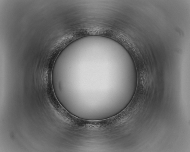 X0000111840690200908061254