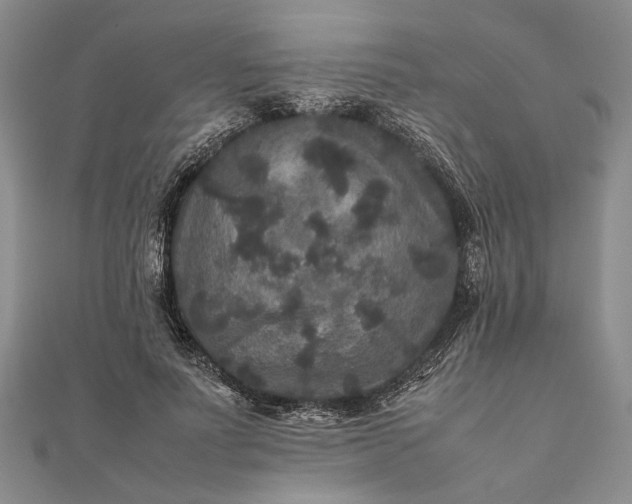 X0000111840691200908061254