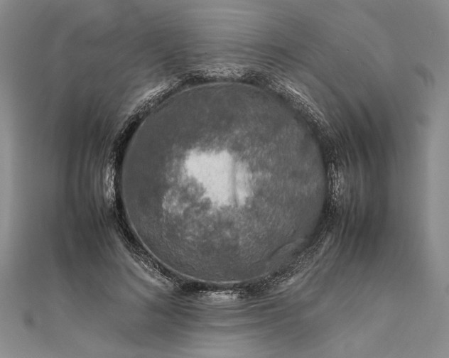 X0000111840692200908061254