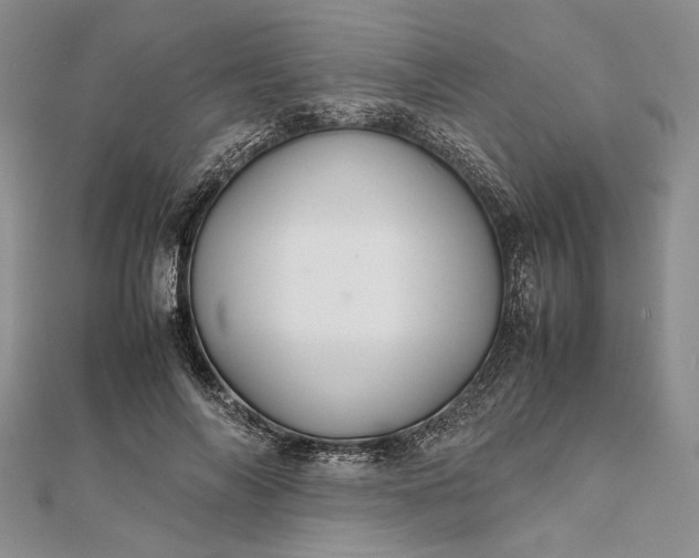 X0000111840694200908061254