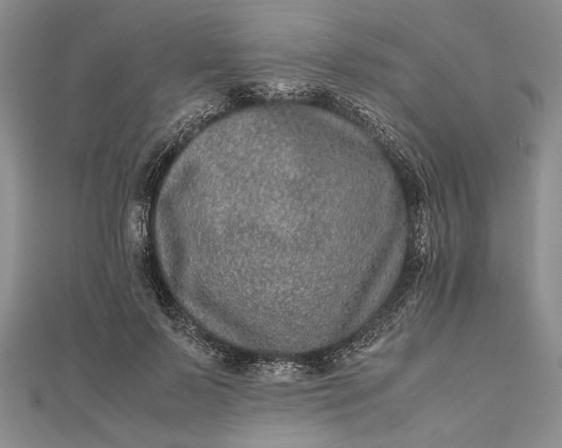 X0000111840695200908061254