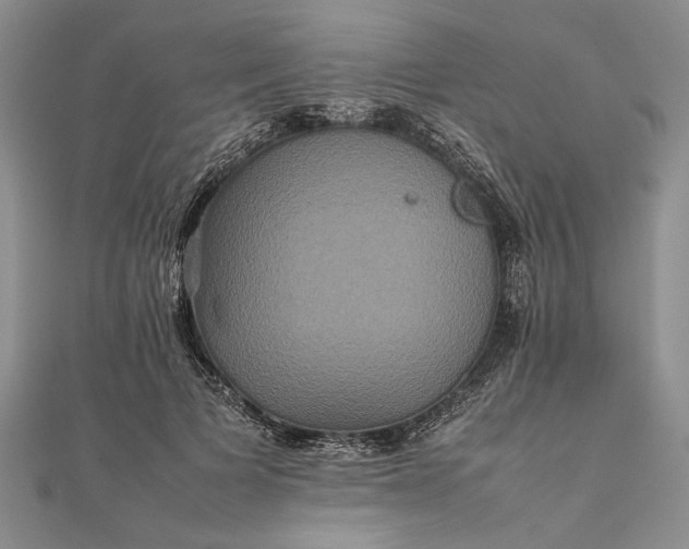 X0000111840697200908061254