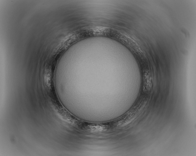 X0000111840698200908061254