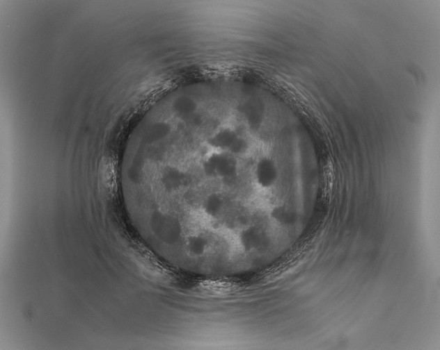 X0000111840699200908061254