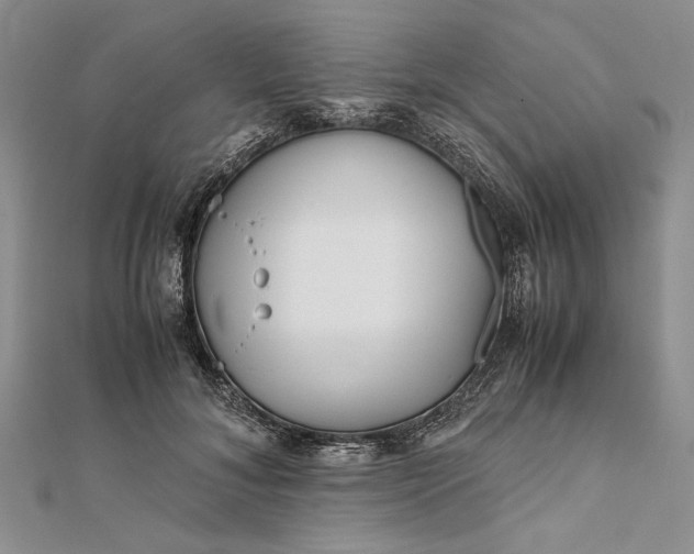 X0000111840700200908061254