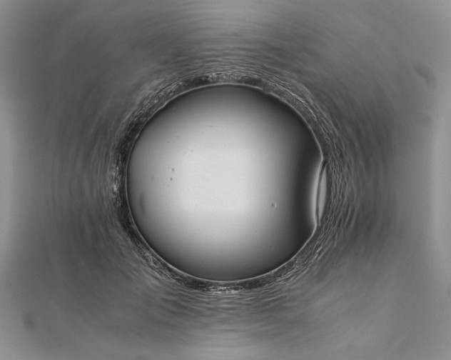 X0000111840701200908061254