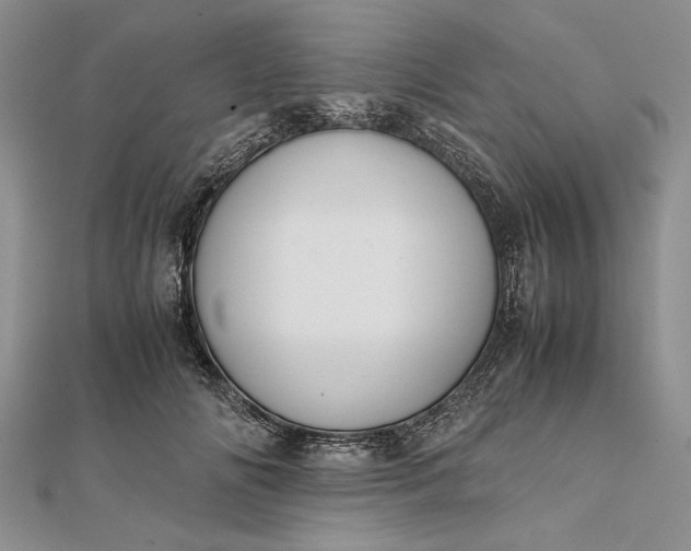 X0000111840702200908061254