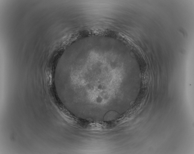 X0000111840703200908061254